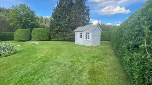 Cedar Hedge Planting
